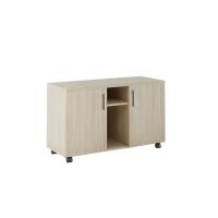 BSN30120002
